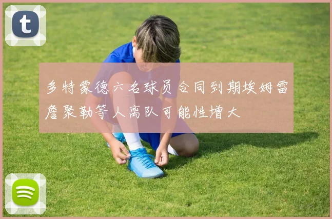 多特蒙德六名球员合同到期埃姆雷詹聚勒等人离队可能性增大